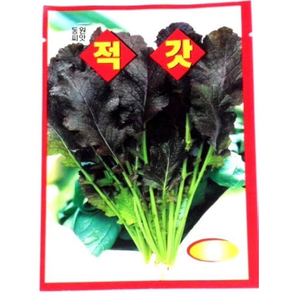 Holtgarden Crown Daisy Seeds Korean 2 Pack NWT